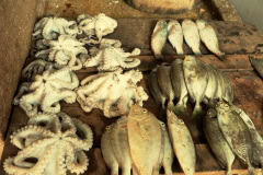 Fish Market Zanzibar