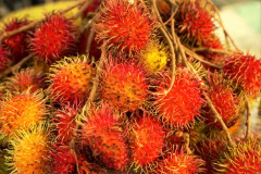 Zanzibar Stone town tour