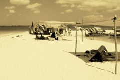 Zanzibar Sand Bank Trip