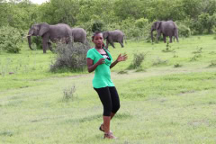 Elephants at Ruaha National Park
