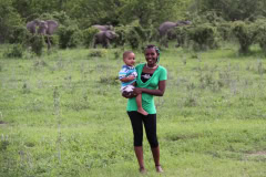 Ruaha with elephants
