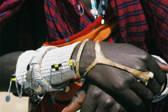 Volunteer and internship with the exiting Masai