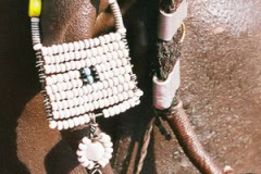 Volunteer with Masai - Art in Tanzania