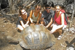 Tortoise Sanctuary Zanzibar