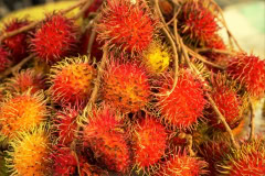 Zanzibar Stone town tour