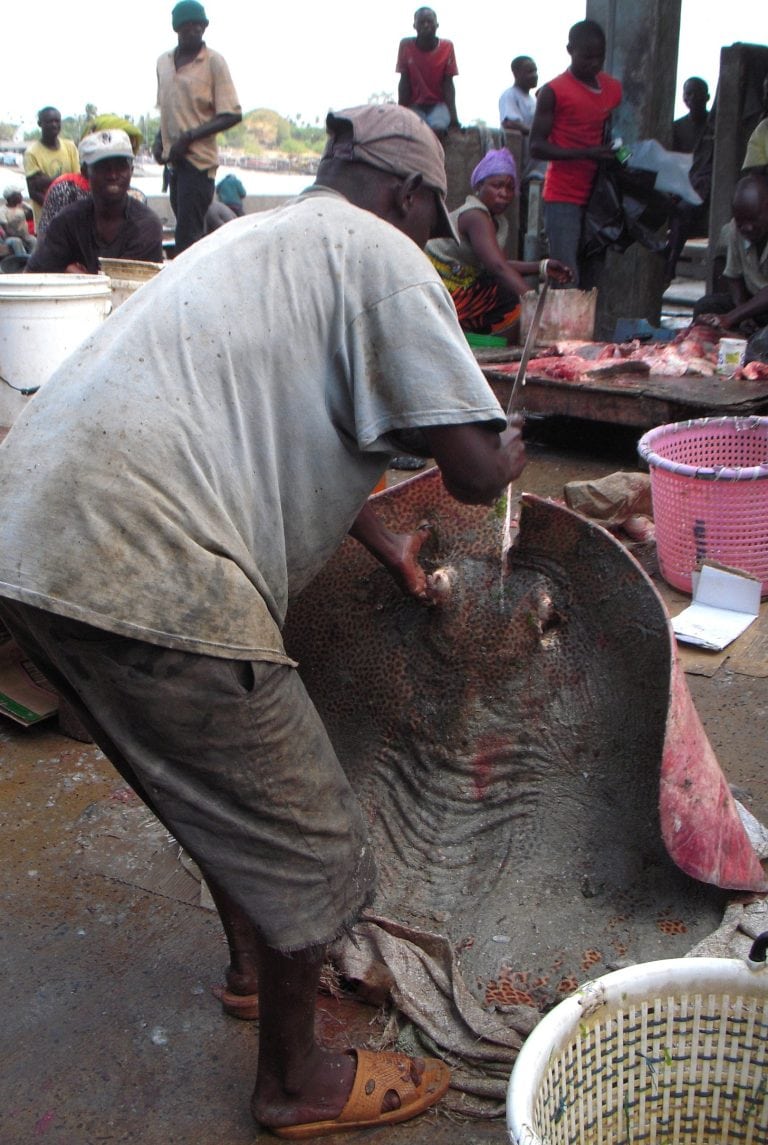 fish market - Volunteer-intern in Tanzania
