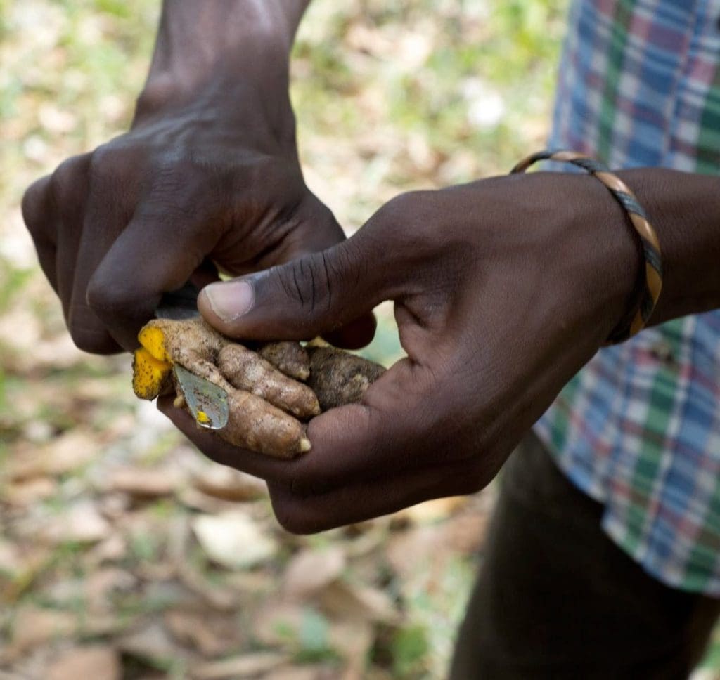 spice tour zanzibar 2 - Volunteer-intern in Tanzania