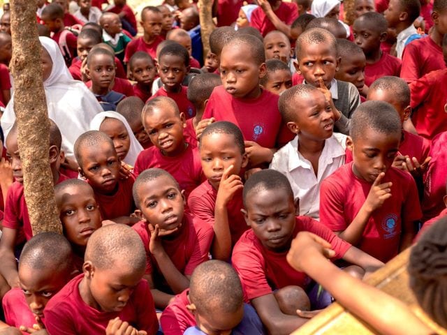 Student loans and public support in Tanzania