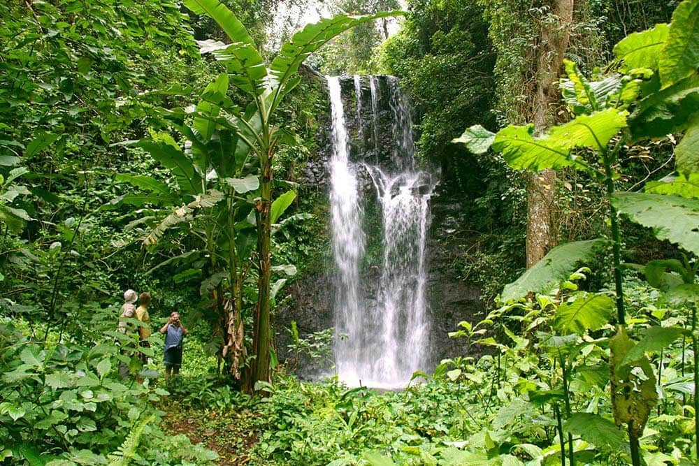 Sustainable Development Volunteering and Internship Africa - Volunteer-intern in Tanzania