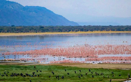 Lake Manyara 1 - Volunteer-intern in Tanzania