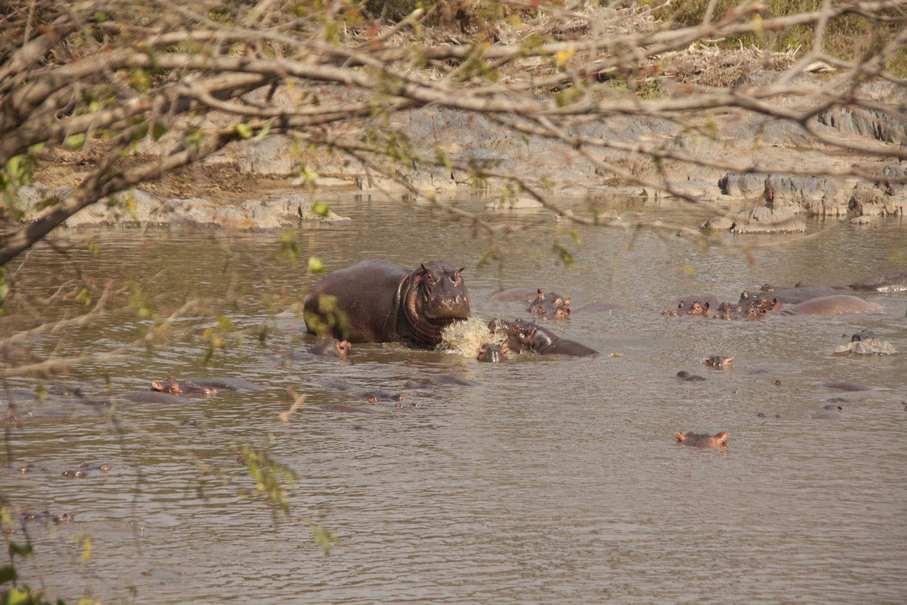 Italian tourism in Africa: popular destinations and trends