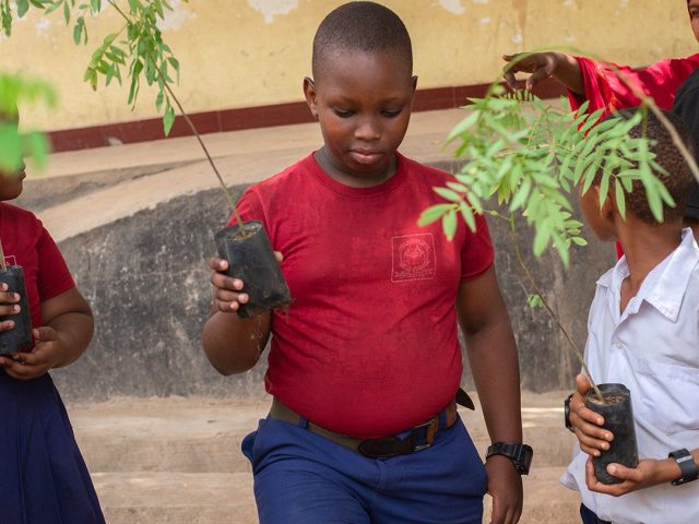 the Climate Change Effect on National Parks in Tanzania