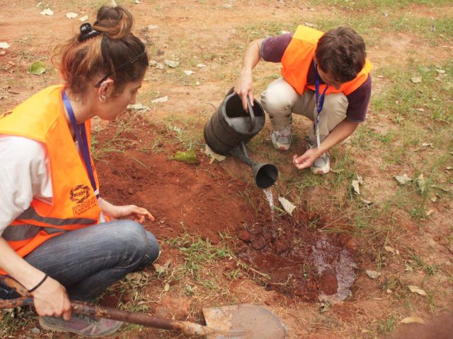 Environmental Disaster Management in Tanzania