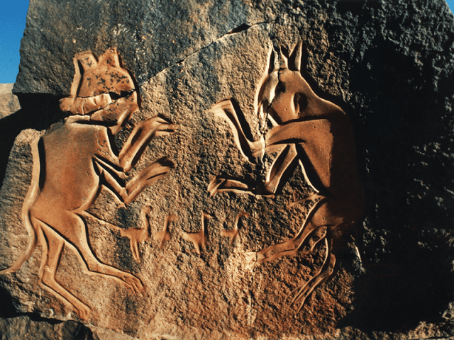 Africa’s Rock Art: Echoes on Stone, Voices from the Past